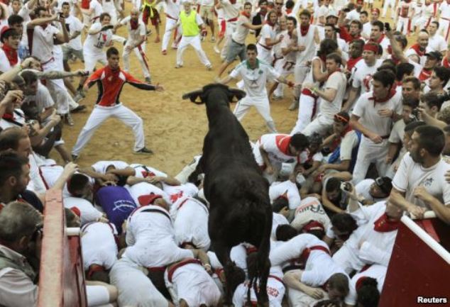 Bikovi napali masu Bikovi napali masu