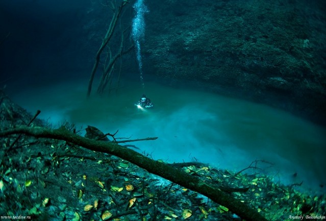 Podvodna &scaron;pilja na poluotoku Yucatan u Meksiku
