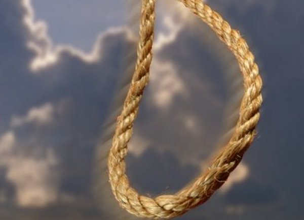 vje&scaron;anje nova