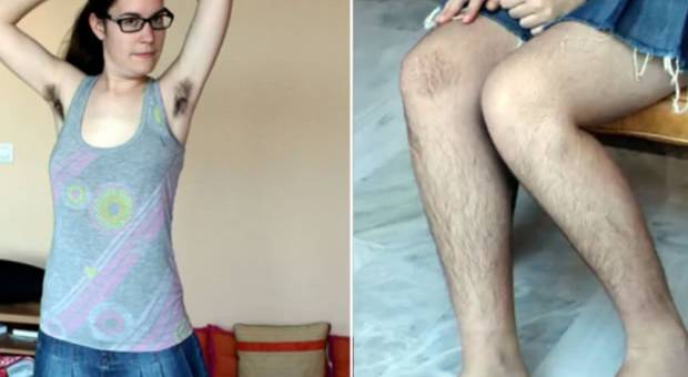 Dlakava &Scaron;panjolka