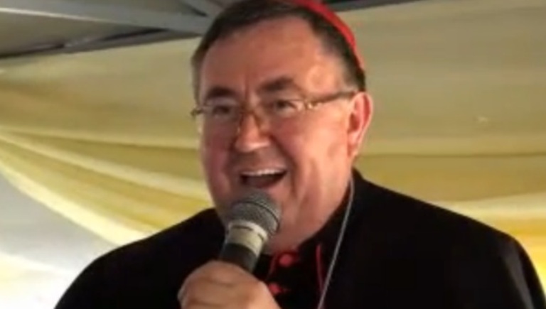 Vinko Puljić pjeva Vinko Puljić pjeva