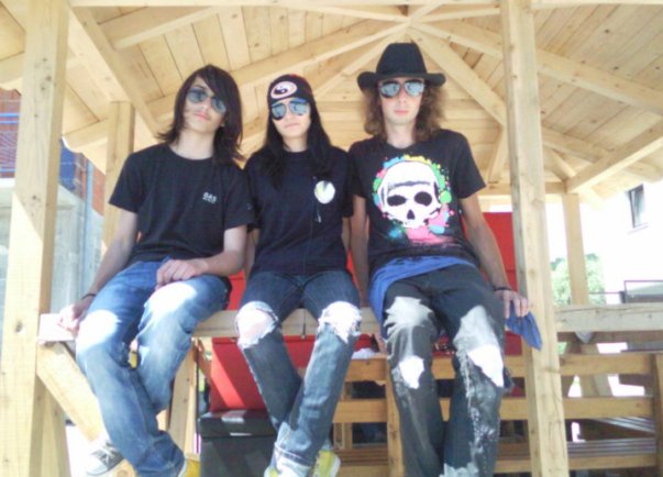 viteški dom viteški dom