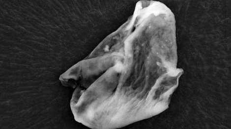 vanzemaljski život vanzemaljski život