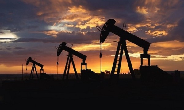 naftna bu&scaron;otina