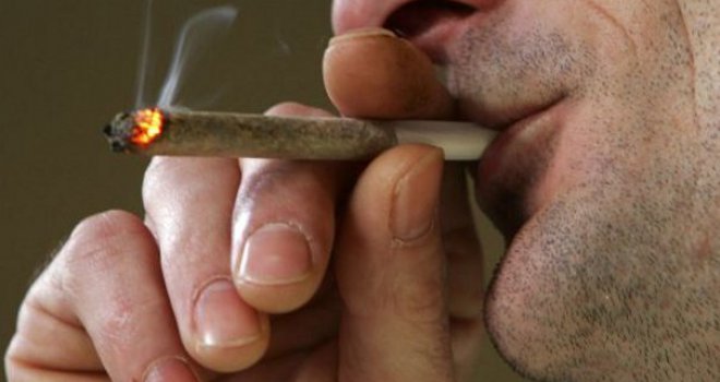 Sve o legalizaciji marihuane: Zdravija od alkohola, a zabranjena i progonjena!