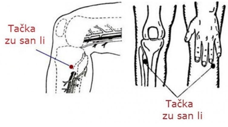 tačka dugovječnosti