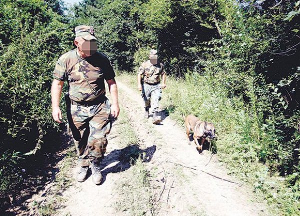 potraga za leskovcankama