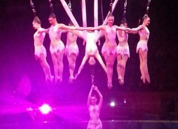 cirkus nesreca