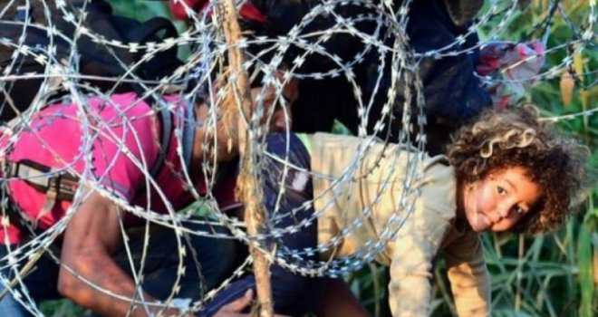 Četiri izbjeglice ilegalno prešle granicu BiH