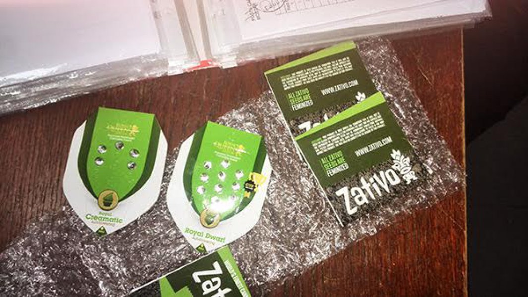 marihuana-u-paketu-mostar-2