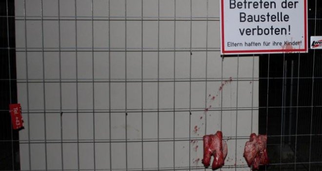 Na gradilištu džamije u Austriji ostavljene dvije svinjske glave