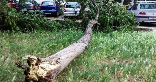 Haos u Splitu: Stablo palo na policijski automobil, s nebodera počela otpadati fasada