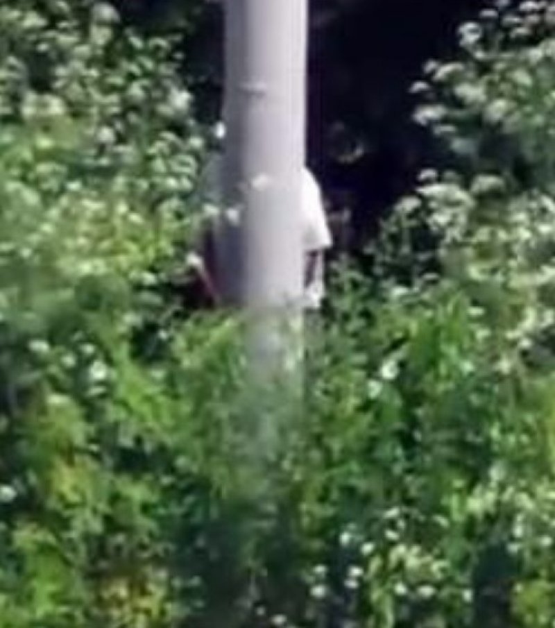 seksualni-manijak-tuzla