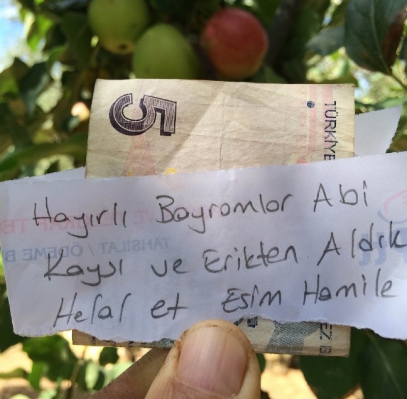 ubrao-voce-i-ostavio-novac