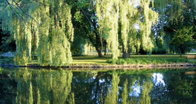 Beogradski preljubnici uhvaćeni na djelu: Grom ih udario dok su vodili ljubav