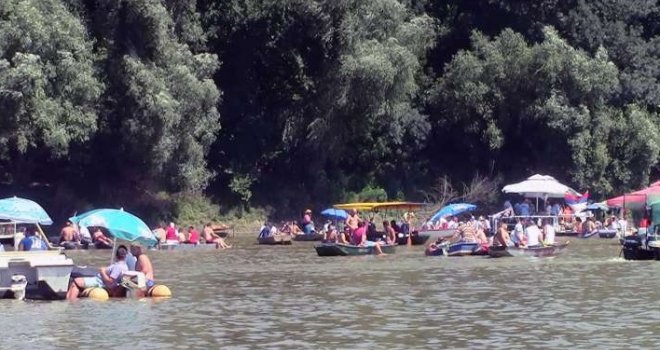 Užas na Savskoj regati: Više od 40 povrijeđenih u napadu stršljenova