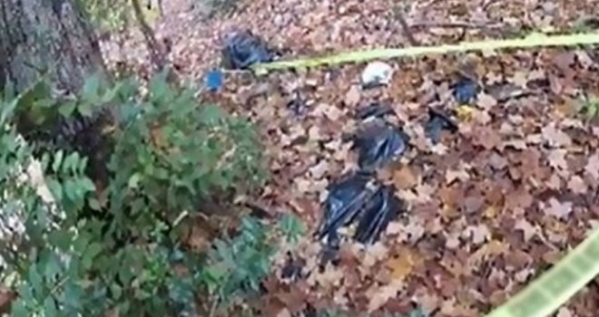 Razlog stravičnog ubistva u Zvorniku: Ujna ubila dijete da bi pričala telefonom?