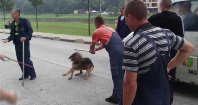 Pismo Sarajke šokirane postupcima KJKP Rad: Ljudi su plakali i vrištali dok je devet radnika davilo i vuklo jednog psa...