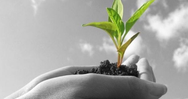 Koliko znači EU poticaj: Šta se promijenilo za poljoprivrednike Hrvatske nakon ulaska u Evropsku uniju?