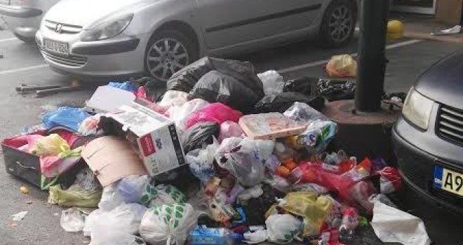 Pismo ogorčenih građana: Ovo je 'smećarsko' Sarajevo 2016. - smrad, prljavština, psi lutalice u naselju Stup...