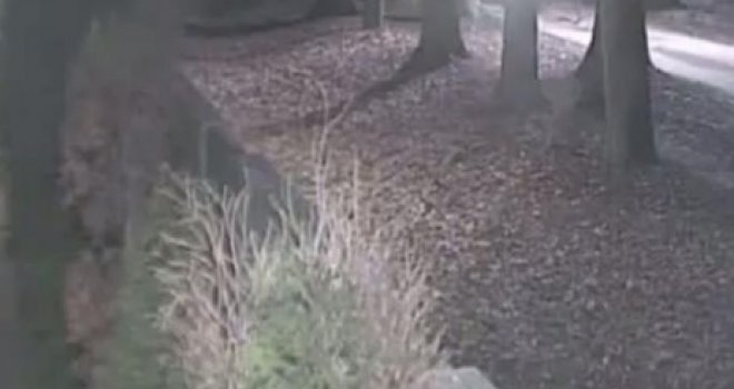 Porodici Memić se javila dvojica sa snimke kamera kuvajtske ambasade