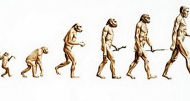 Akademici u Srbiji negiraju Darwinovu teoriju evolucije, pokrenuli i peticiju