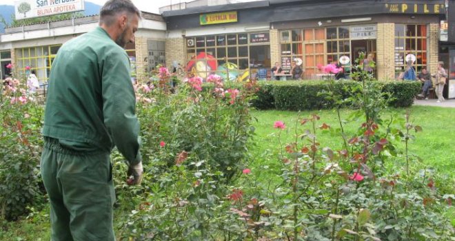 Posao za 300 osoba u Kantonu Sarajevo: Evo koje uslove morate ispuniti