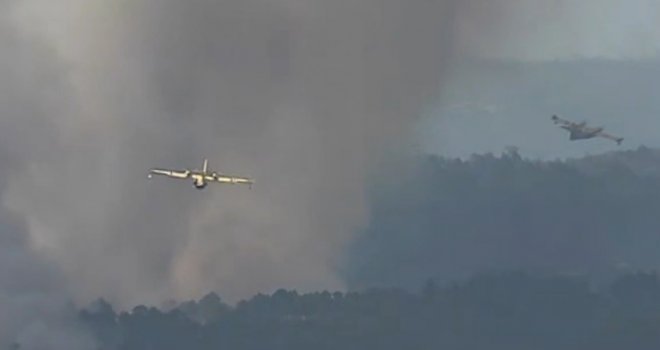 Srušio se avion koji je gasio katastrofalne požare u Portugalu