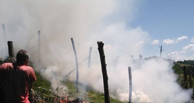 Spalio čitav malinjak od tri dunuma: Ne mogu raditi za 0,50 KM!