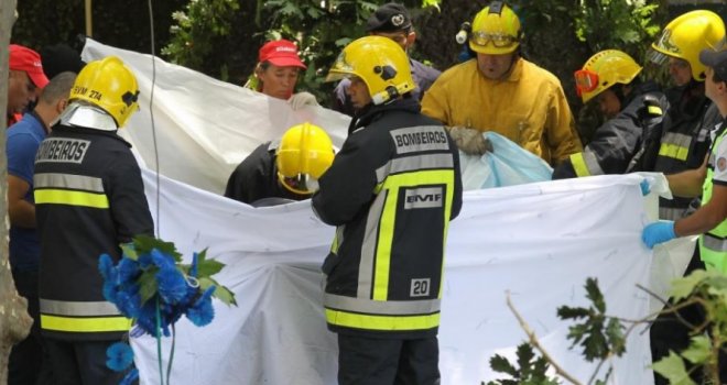 Poginulo 11 osoba kada je drvo palo na vjernike