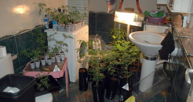 Diler droge iz BiH prijavio provalu u stan, kad je stigla policija - imala je šta vidjeti!