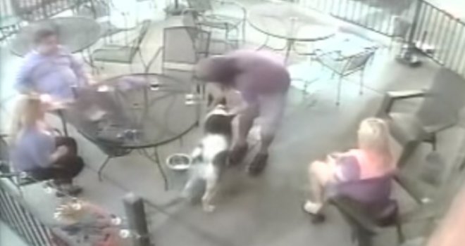 Bivša manekenka mazila psa u kafiću, a onda ju je on zgrabio za lice... Završila na operaciji!