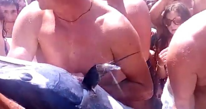 Panika na plaži kod Budve: Odjednom se svi uspaničili, mislili da je ajkula...