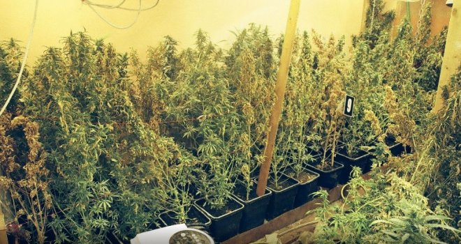 Akcija 'Labos II': Na Ilidži uhapšena jedna osoba s potjernice