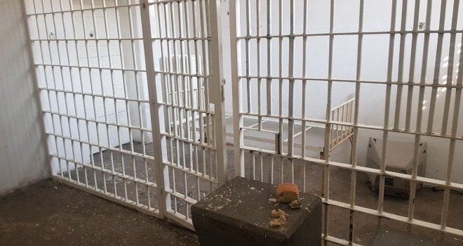 Miljan Žarković osuđen na 12 godina zatvora jer je ubio majku bacivši je s balkona