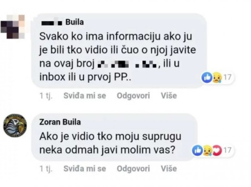 zoran-buila-komentar