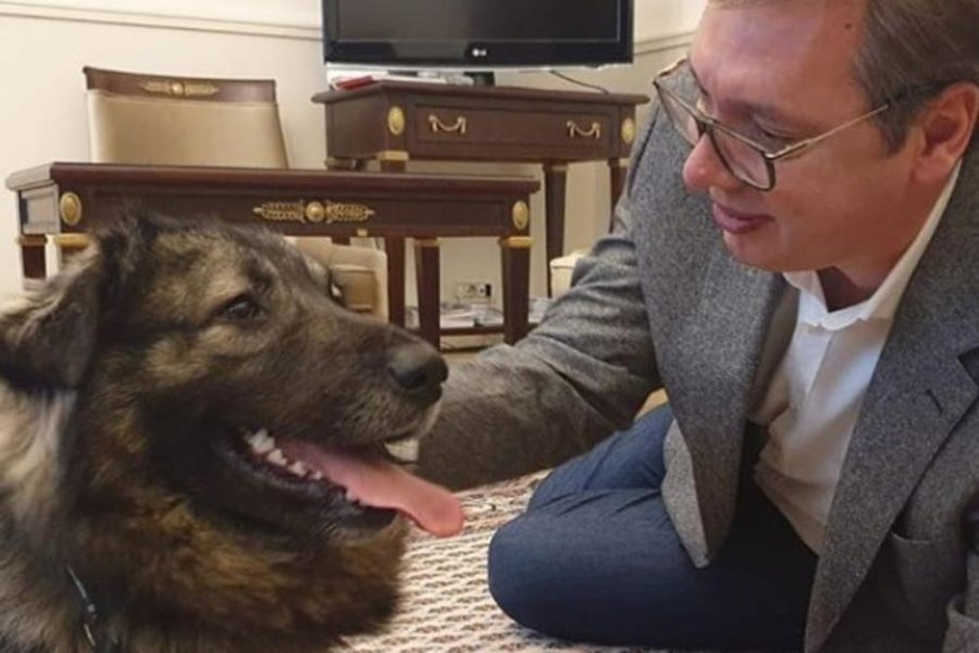 vucic-pas