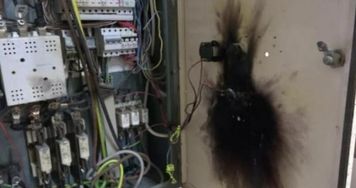 strujni-udar-mhe-mujakovic-i