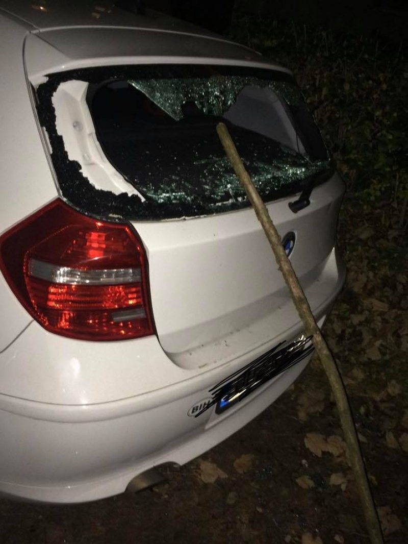 damir-niksic-auto