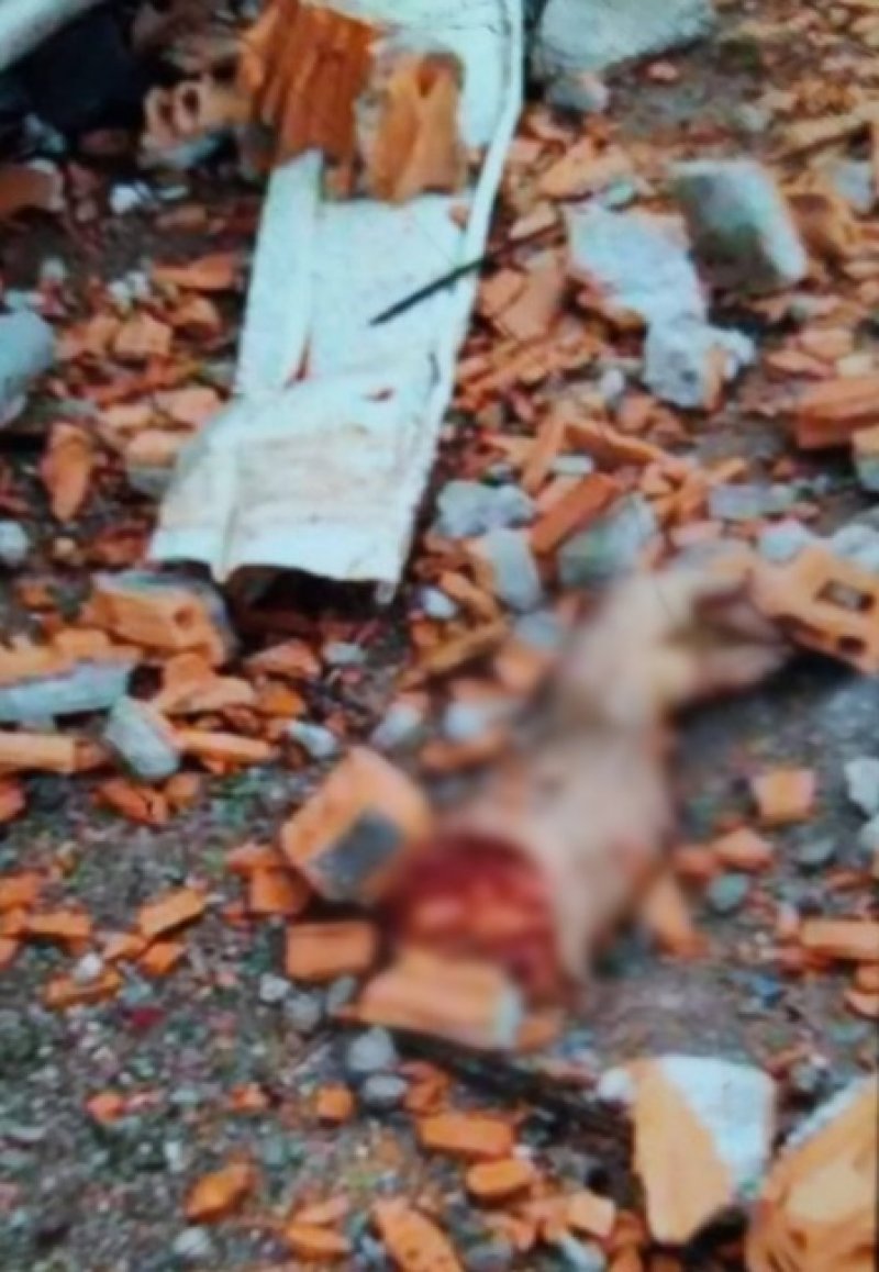 otkinuta-ruka-pumpa-neskovic