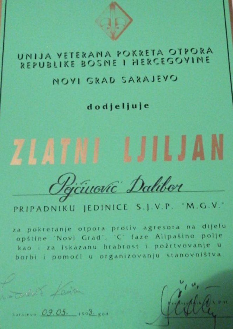pejcinovic2