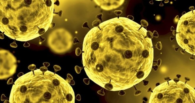 Rečenica koja nam 'kroji' živote, ovog puta SZO: Naredne sedmice su ključne