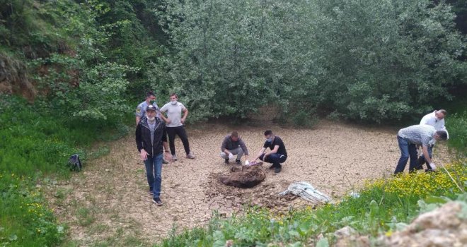 Stigao tim iz Sarajeva: Medvjedicu moraju uspavati, neizvjesno hoće li preživjeti... Mladunci pobjegli u šumu