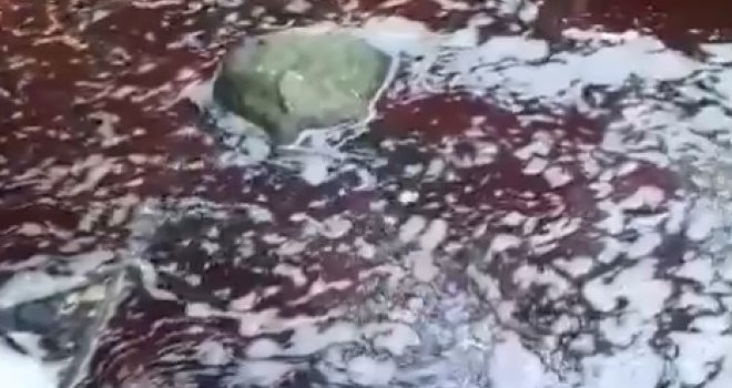  Strašan, uznemirujući prizor u Sarajevu: Nahorevskim potokom teče kurbanska krv
