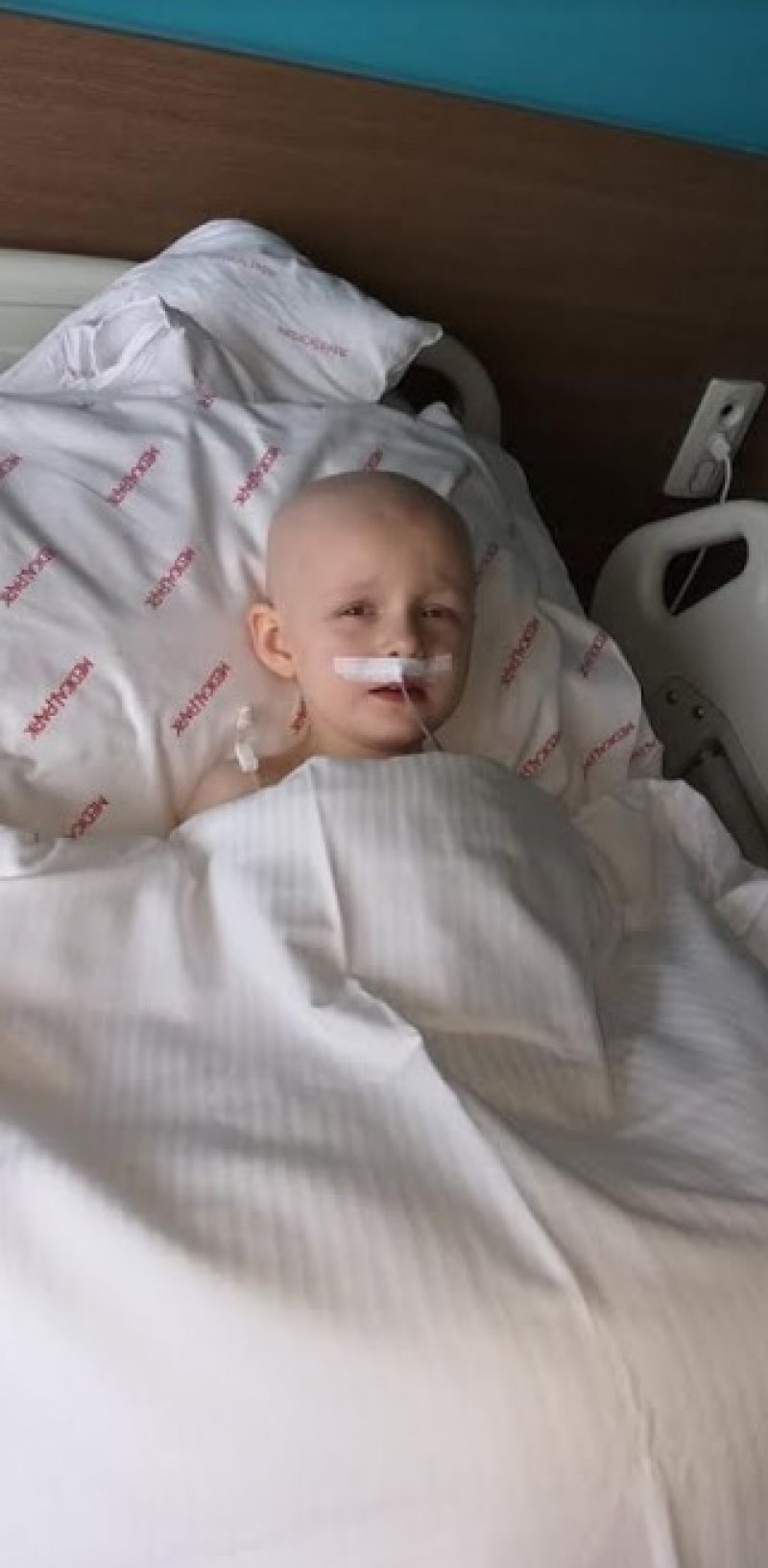 hana-pasanbegovic-2jpg