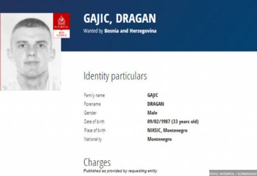 dragan-gajic-interpol