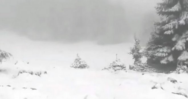 Druga polovina maja, a kao da je decembar: Snijeg na Vlašiću prekrio sve, hladno, čobani imaju problema...