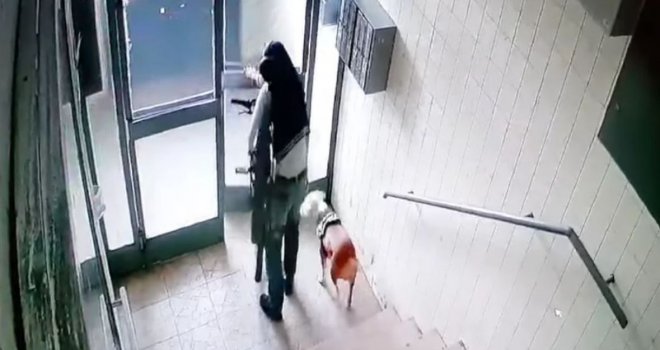 Prepoznajete li lopova iz Sarajeva koji u krađu vodi i psa