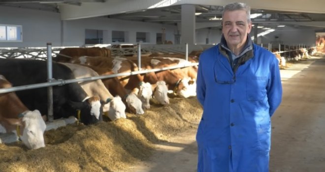Farmer iz BiH svakoj kravi kupio dušek od 200 KM: Skupi madraci i obilje hrane, u novoj hali nikad im nije vruće