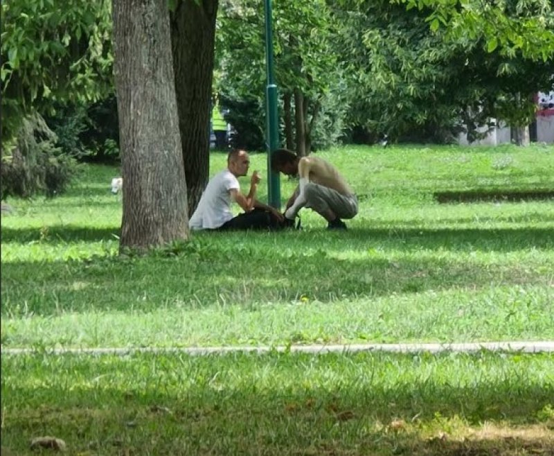 park-narkomani1